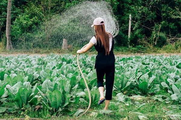 Comment construire un système de récupération et de filtration des eaux grises pour le jardinage ?